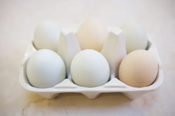 Eggs