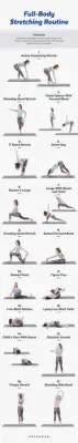Your Stretch Session