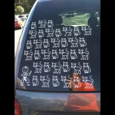 The Crazy Cat Lady Family