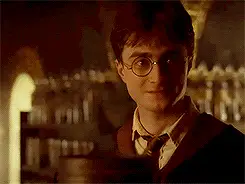 Dirty Harry Potter Pickup Lines