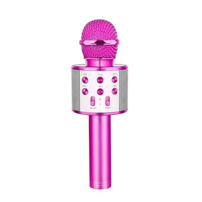 For the Budding Pop Star