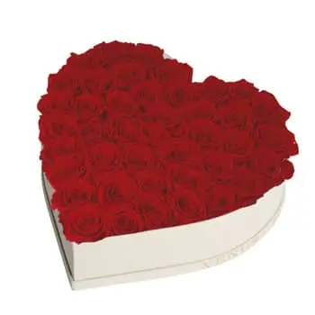 The Scent of the Venus Et Fleur Arrangement: