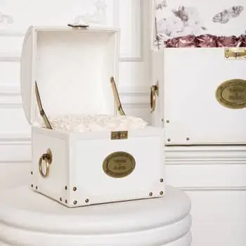 How to Care For the Venus Et Fleur Arrangement: