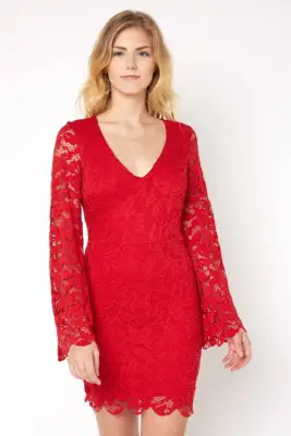 Abbeline Bell Sleeve Lace Mini Dress