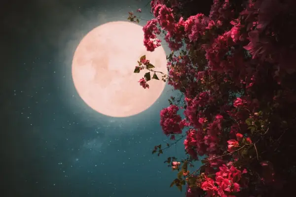 Image of Pink Moon in Sky
