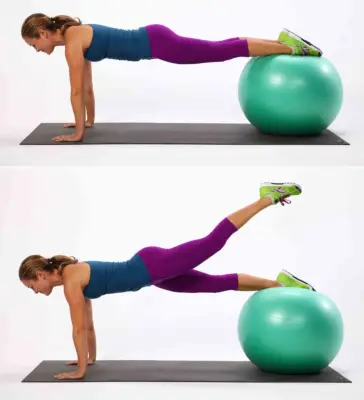 Plank With Leg Lift