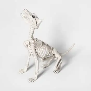 Sitting Kitten Skeleton Decorative Halloween Prop at Target