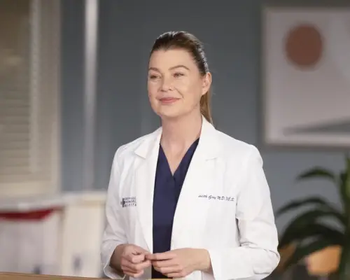 GREYS ANATOMY - It Came Upon a Midnight Clear The doctors of Grey Sloan Memorial celebrate the holidays; Hamilton and Meredith prepare for a milestone on their project; Link wants to spend the holiday with Amelia and Scout as a family; Schmitt is faced w