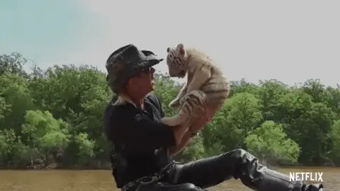 We Get to See the Cutest Tiger Cub, So It