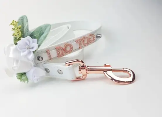 Flower Girl Basket Alternatives: A Dog — and a Festive Leash