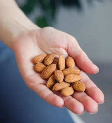 I Monitored My Food Intake and Macros